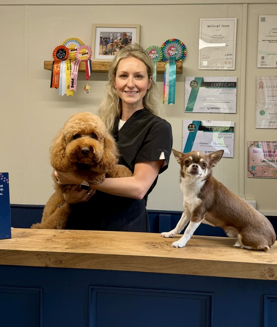 Lucinda Parkes famous dog groomer Lincolnshire