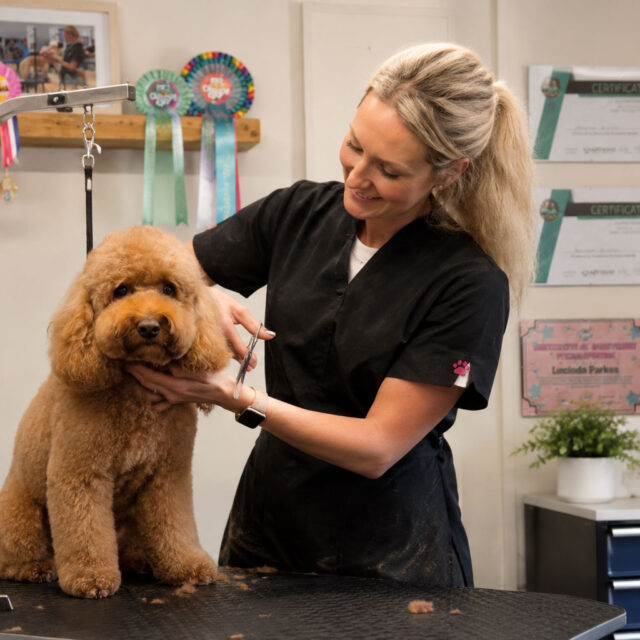 lucinda-parkes-paws-grooming